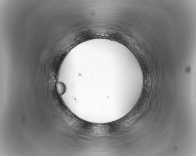 X0000093570707200711051057