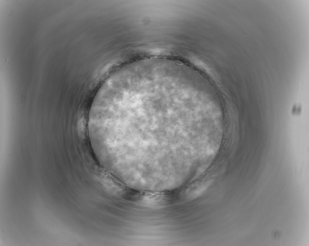X0000093570720200711051057