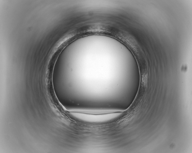 X0000093570724200711051057