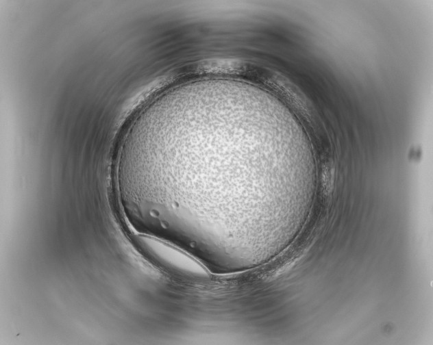 X0000093570725200711051057