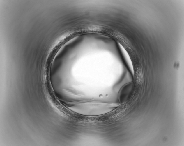 X0000093570726200711051057