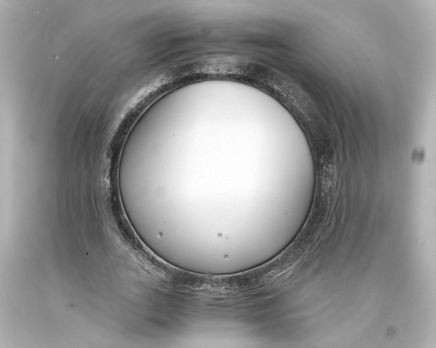 X0000093570727200711051057