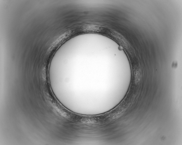 X0000093570729200711051057