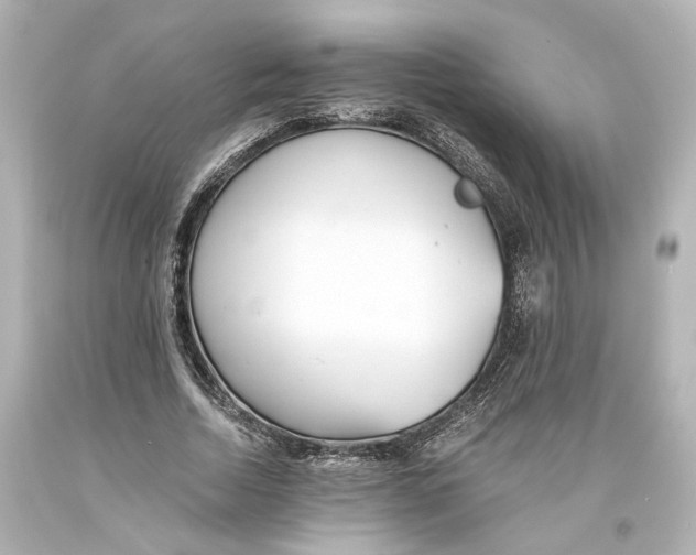 X0000093570730200711051057