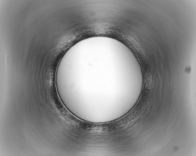 X0000093570740200711051057