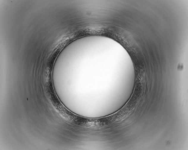 X0000093570744200711051057