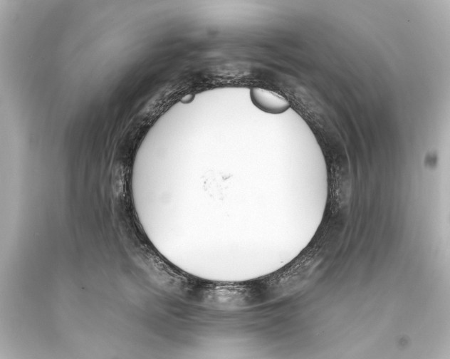 X0000093570758200711051057
