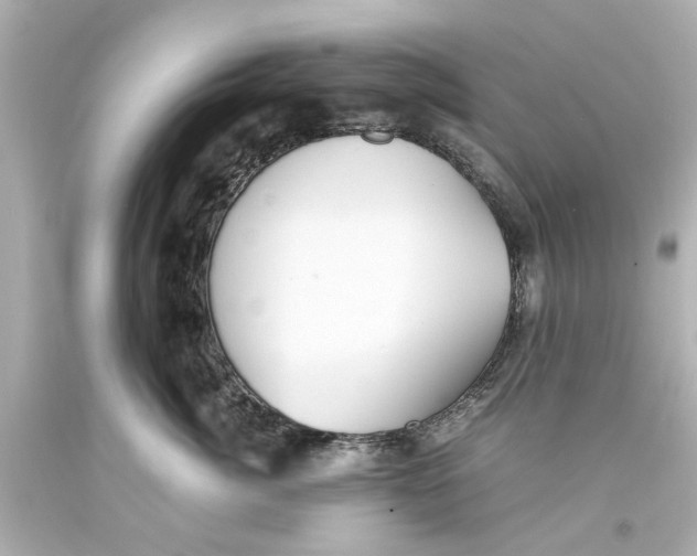 X0000093570764200711051057