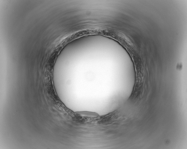 X0000093570773200711051056