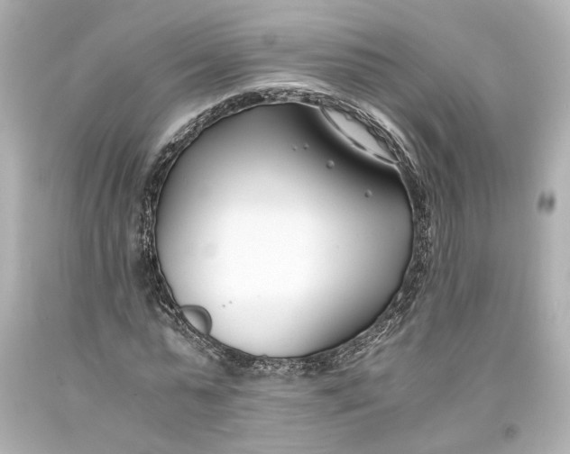 X0000093570775200711051056