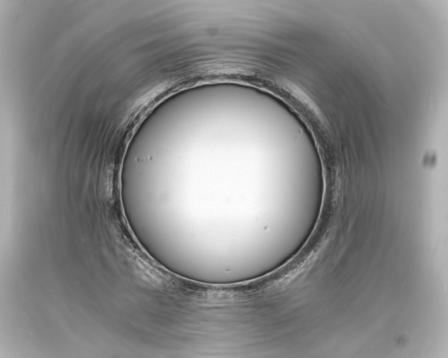 X0000093570777200711051056