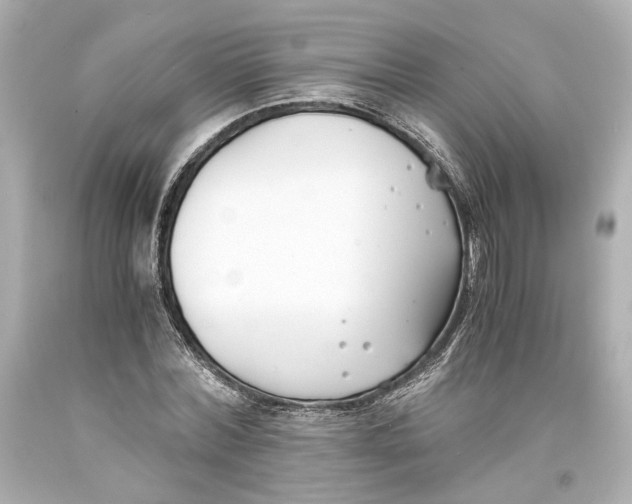 X0000093570780200711051056