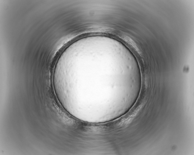 X0000093570781200711051056