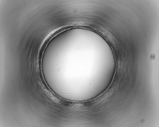X0000093570784200711051056