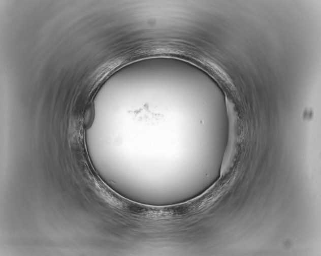 X0000093570793200711051056
