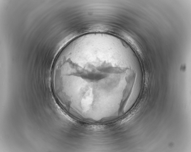X0000093570802200711051056