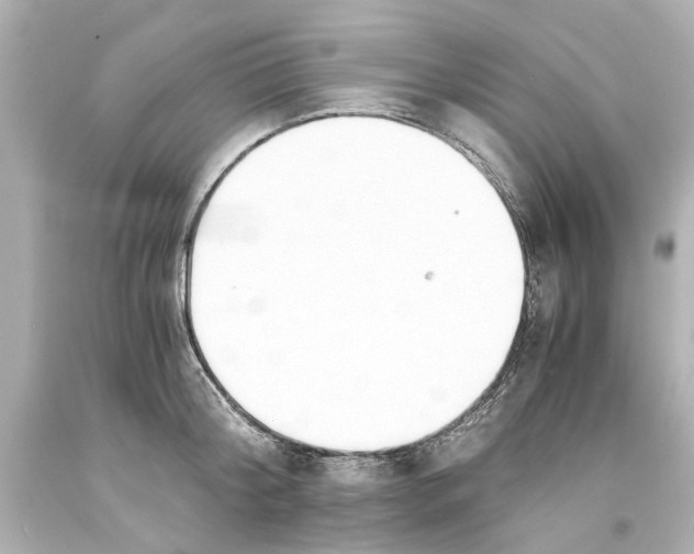 X0000093570804200711051056