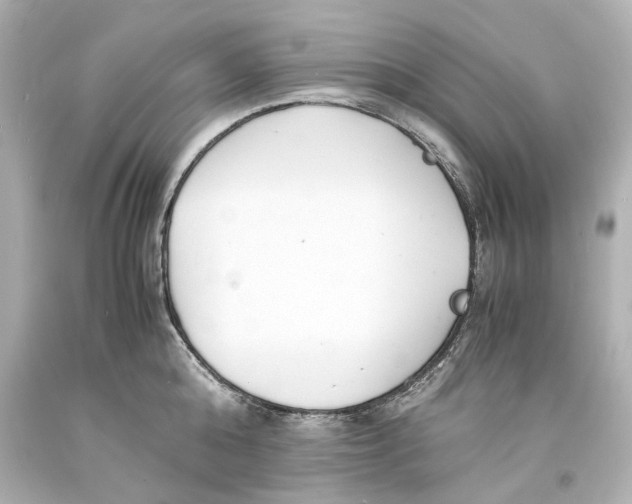 X0000093570808200711051056