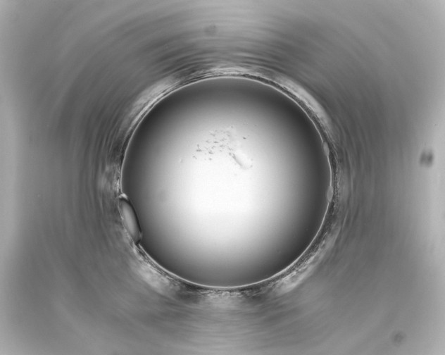 X0000093570809200711051056