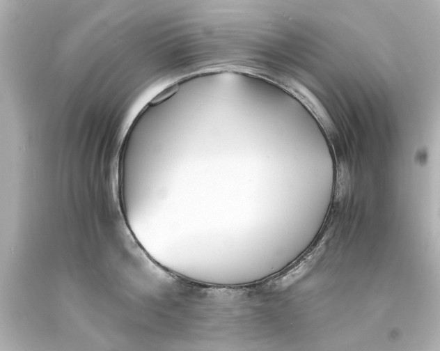 X0000093570812200711051056