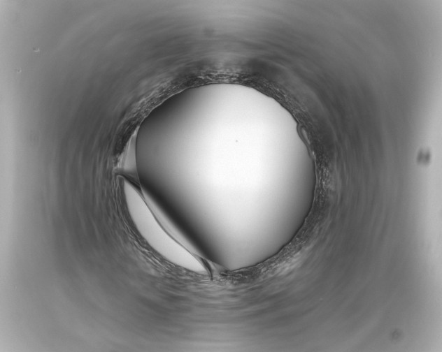 X0000093570818200711051055