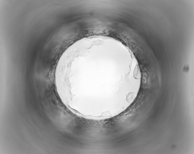 X0000093570820200711051055