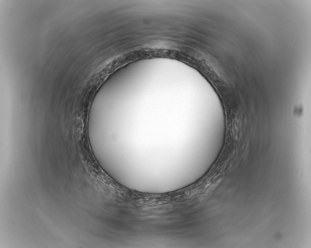 X0000093570821200711051055