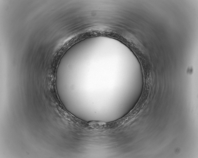 X0000093570822200711051055