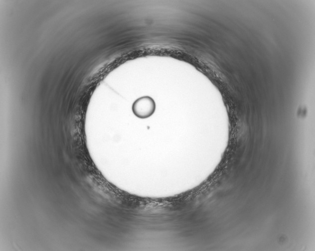 X0000093570824200711051055