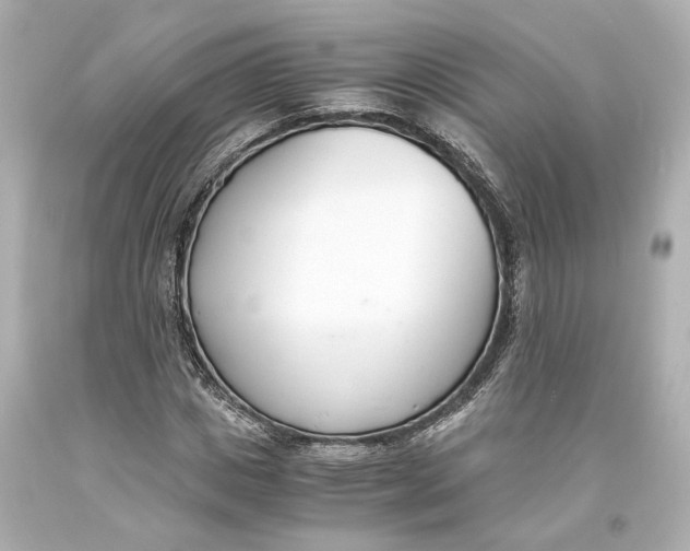 X0000093570825200711051055
