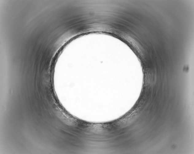 X0000093570828200711051055