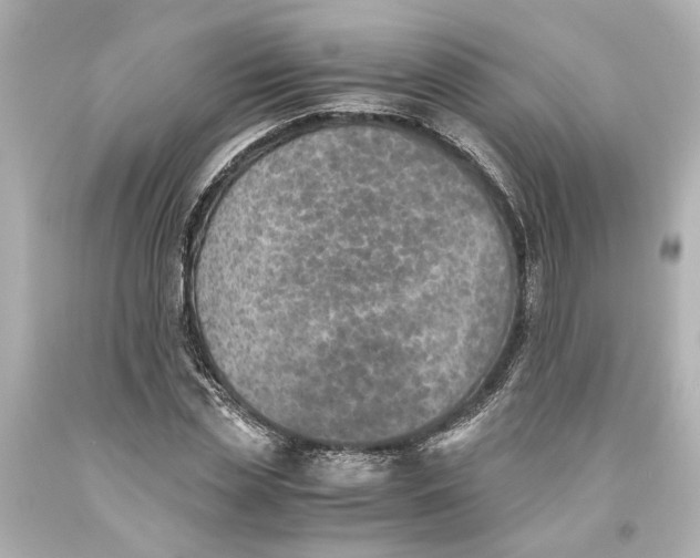 X0000093570829200711051055