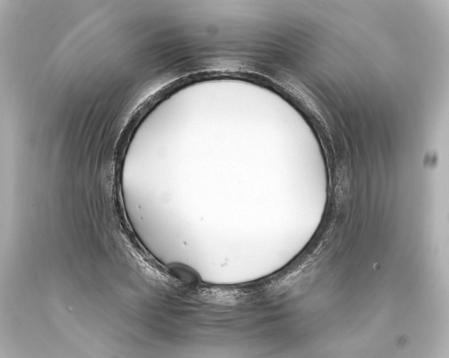 X0000093570831200711051056