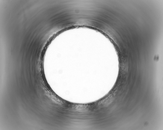 X0000093570832200711051056