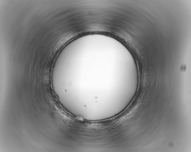 X0000093570833200711051056