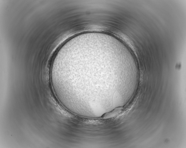 X0000093570835200711051056