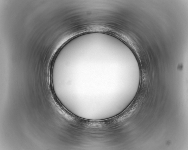 X0000093570843200711051056