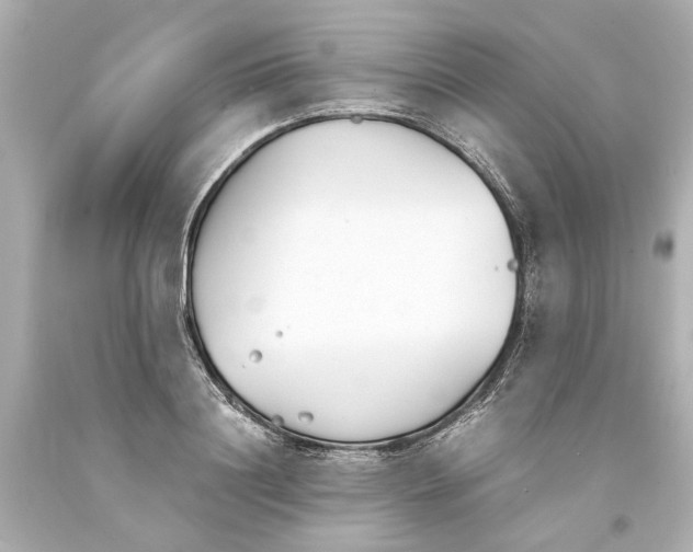 X0000093570844200711051056