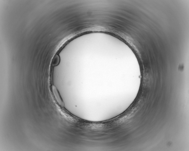 X0000093570845200711051056