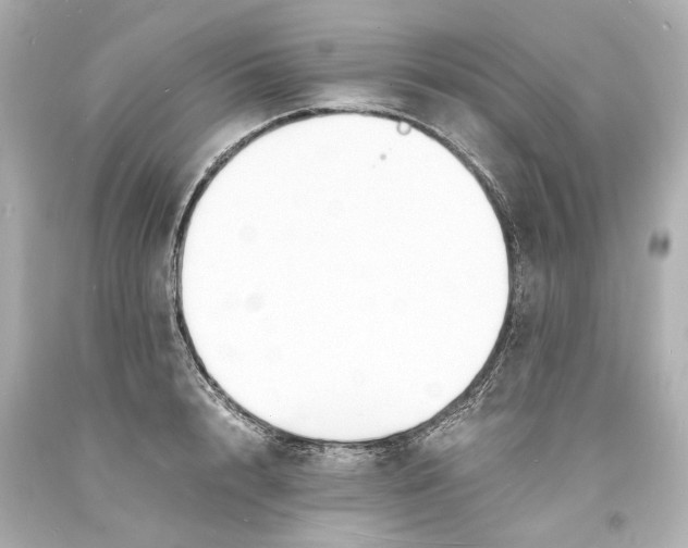 X0000093570848200711051056