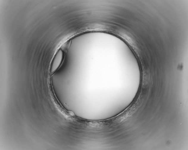 X0000093570850200711051056