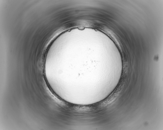 X0000093570851200711051056
