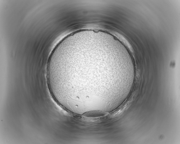 X0000093570855200711051056