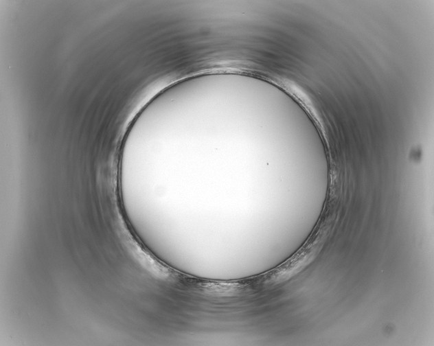 X0000093570859200711051056