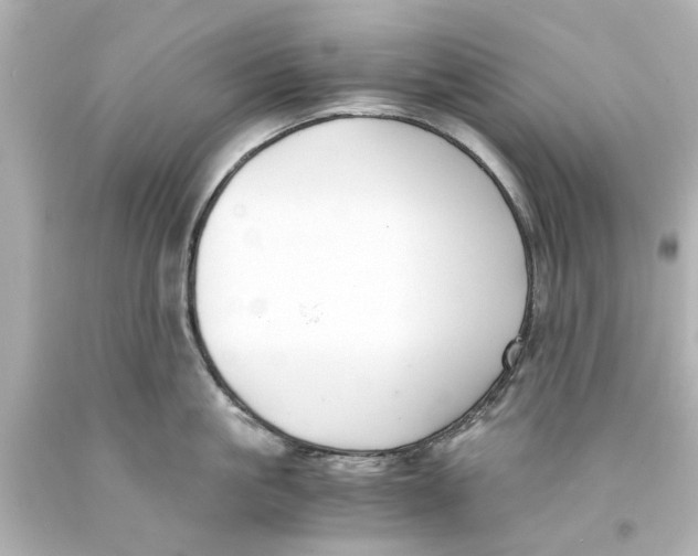 X0000093570861200711051056