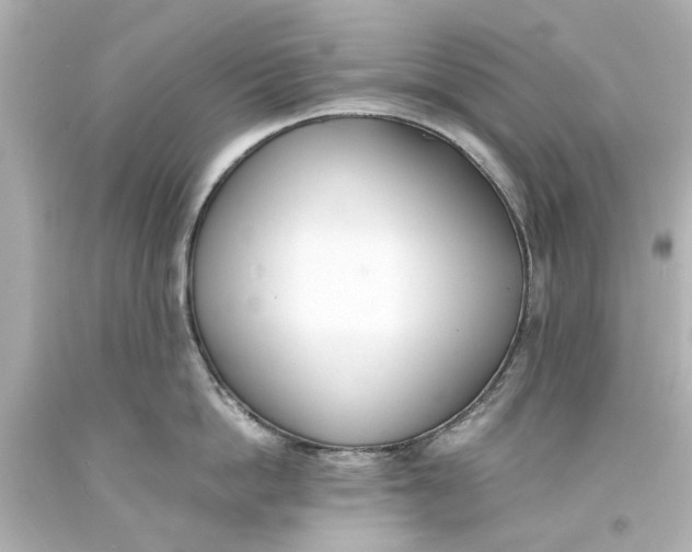 X0000093570862200711051056
