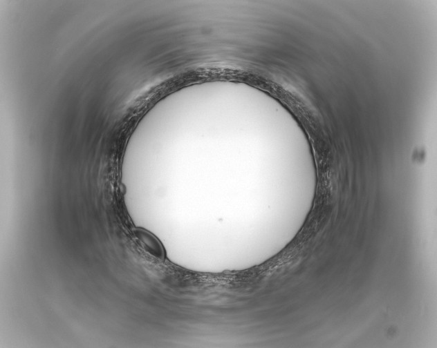 X0000093570870200711051055