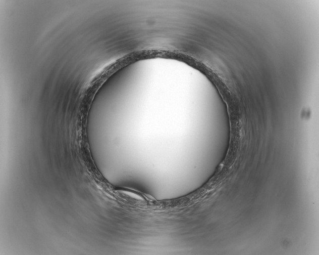 X0000093570872200711051055