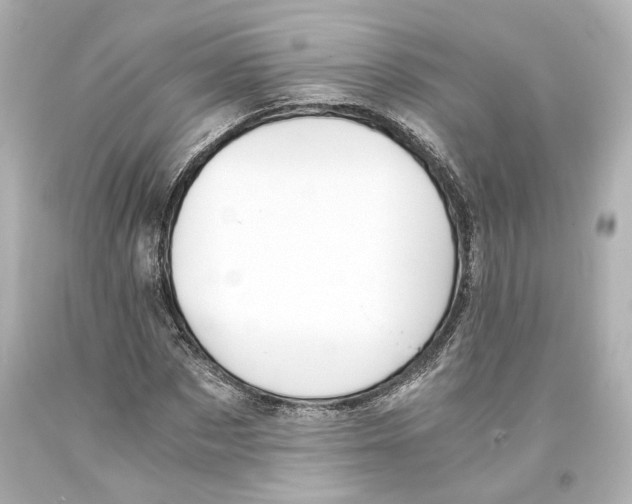X0000093570873200711051055