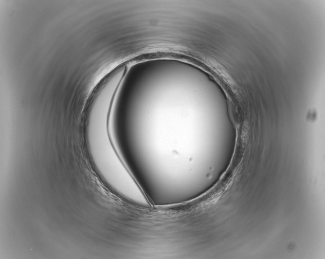 X0000093570877200711051055